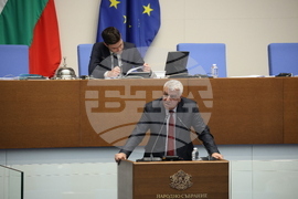 Парламент - заседание - Румен Гечев