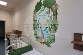 Ловеч - детско отделение - ремонт