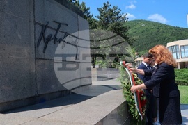 Враца - Илияна Йотова