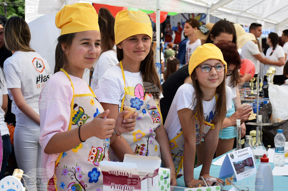 Благоевград – „Училищна панорама"