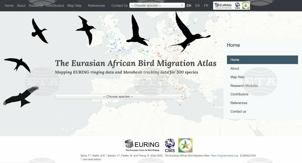 Атласът на мигриращите птици в Европа вече е готов, информират от Българската орнитологическа централа