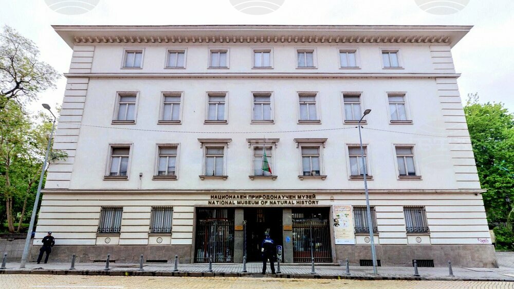 Националният природонаучен музей при БАН по традиция ще е с вход свободен за всички деца до 14 годишна възраст утре