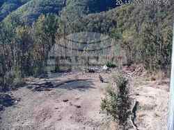 Снимка: Фондация „По-диви Родопи"