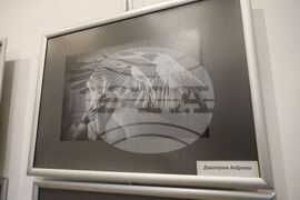 Самоков - Национална награда за фотографско изкуство „Анастас Карастоянов" - изложба