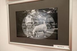 Самоков - Национална награда за фотографско изкуство „Анастас Карастоянов" - изложба