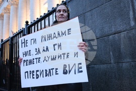 Протест - насилие над жени - „Нито една повече"