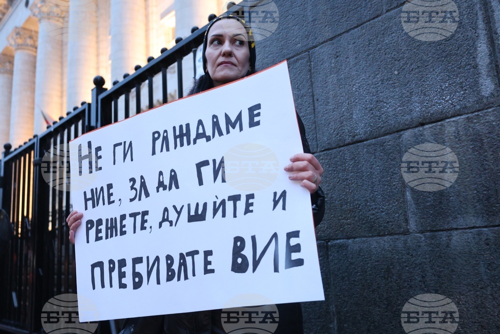 Протест - насилие над жени - „Нито една повече"