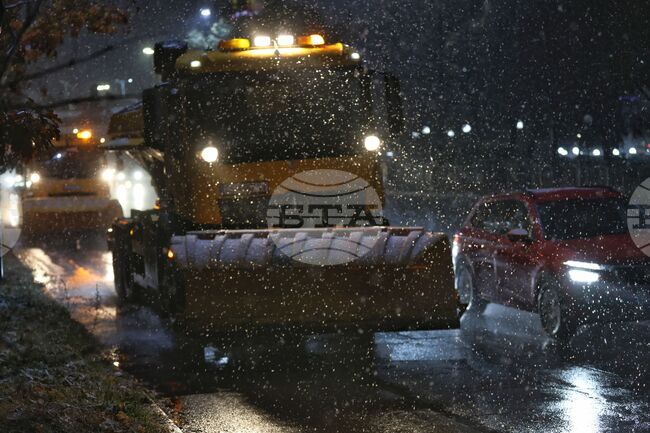 Total of 171 Snowploughs Work in Sofia Overnight, Emergency Teams Remove Fallen Branches, Trees