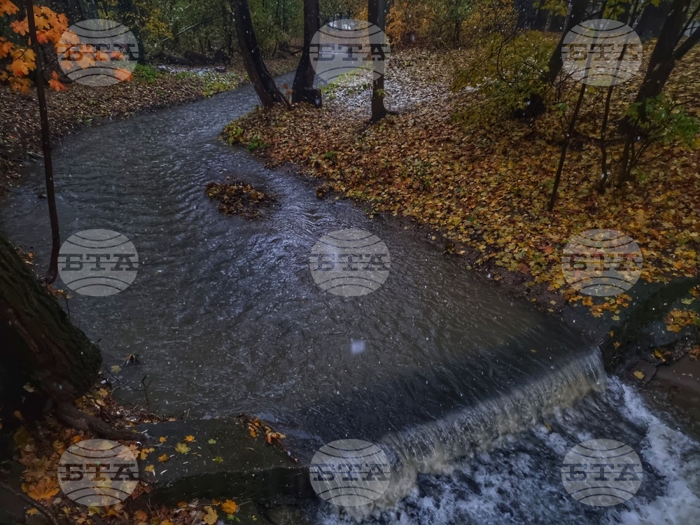 Снеговалеж