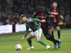 Germany Soccer Bundesliga