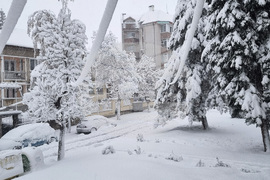 Търговище - зима - първи сняг 