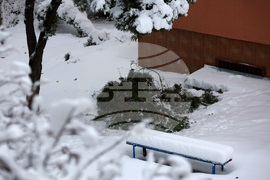 Сняг - счупени клони