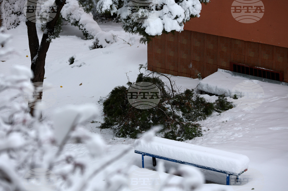 Сняг - счупени клони