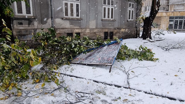 В Русенско има затворени пътища, десетки населени места без електрозахранване и повалени дървета заради моркия сняг