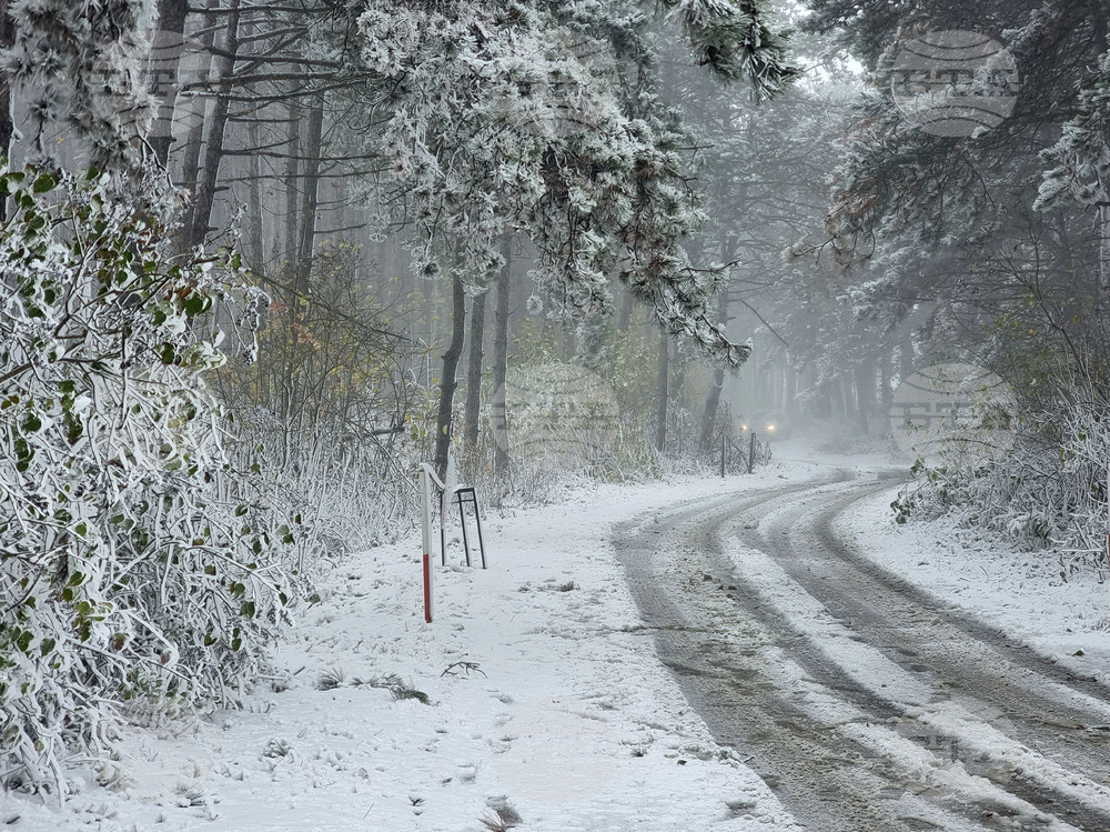Варна - обстановка