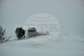 Варна - обстановка