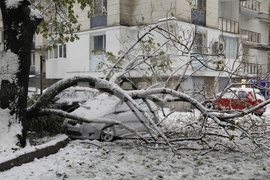 Русе - зимна обстановка