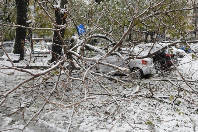 Усложнена е обстановката в община Етрополе поради падналия мокър сняг, съобщи кметът Владимир Александров