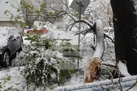 Русе - зимна обстановка