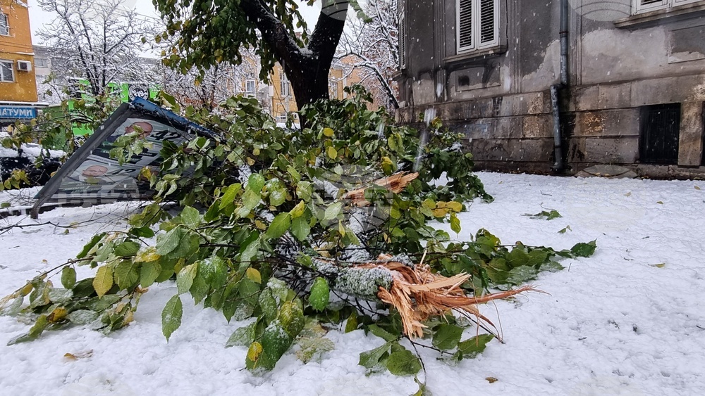 Русе - зимна обстановка