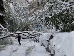 Зимна обстановка в столицата