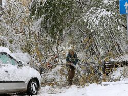 Зимна обстановка в столицата