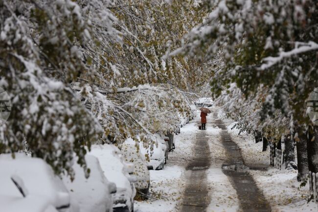 Зимна обстановка в столицата