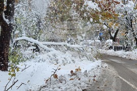 Плевен - зимна обстановка - счупени клони