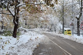 Плевен - зимна обстановка - счупени клони