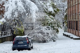 Плевен - зимна обстановка - счупени клони