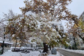 Плевен - зимна обстановка - счупени клони