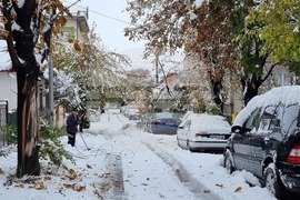 Плевен - зимна обстановка - счупени клони