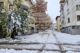 Плевен - зимна обстановка - счупени клони
