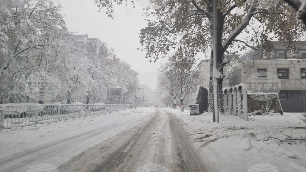 Добрич - обстановка - зима