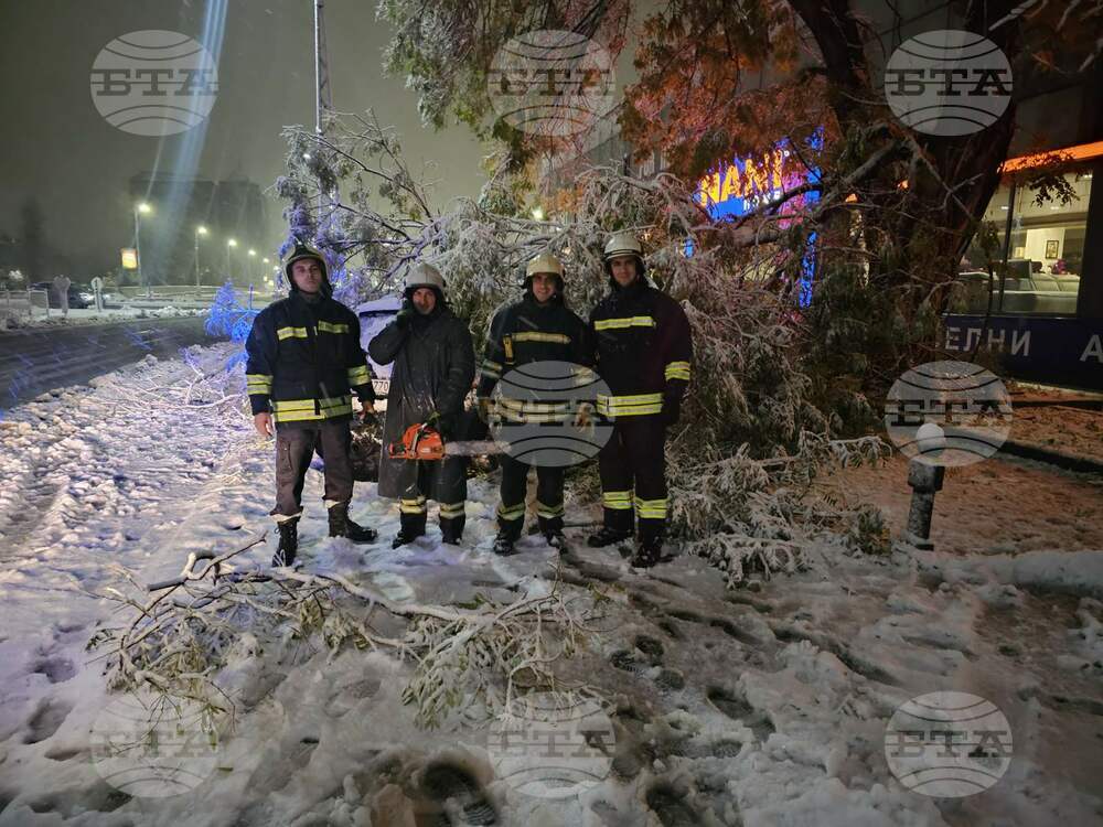 Повече от 300 обаждания за щети от падналия сняг са постъпили през последните 24 часа в пожарната в Пловдив