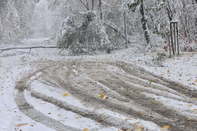 Силна буря отнесе покриви и събори дървета в Североизточна Румъния; лошо време в по-голямата част от страната