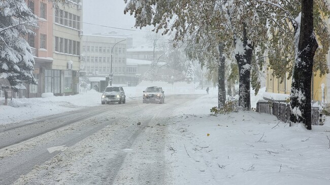 Над 30 села и няколко квартала в община Габрово са без електрозахранване след обилния снеговалеж тази нощ