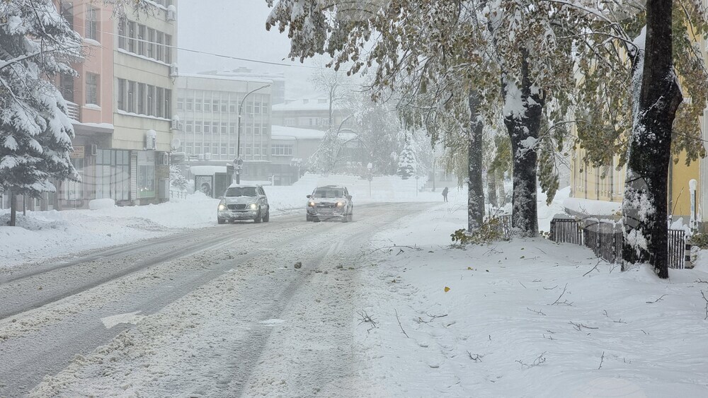 Над 30 села и няколко квартала в община Габрово са без електрозахранване след обилния снеговалеж тази нощ