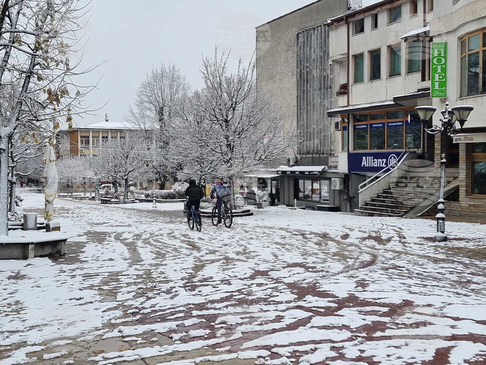 Ограничено е движението на тежкотоварни автомобили през прохода "Превала"