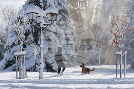 Зима - обстановка