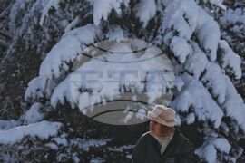 Зима - обстановка