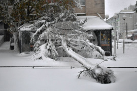 Исперих - зима - обстановка