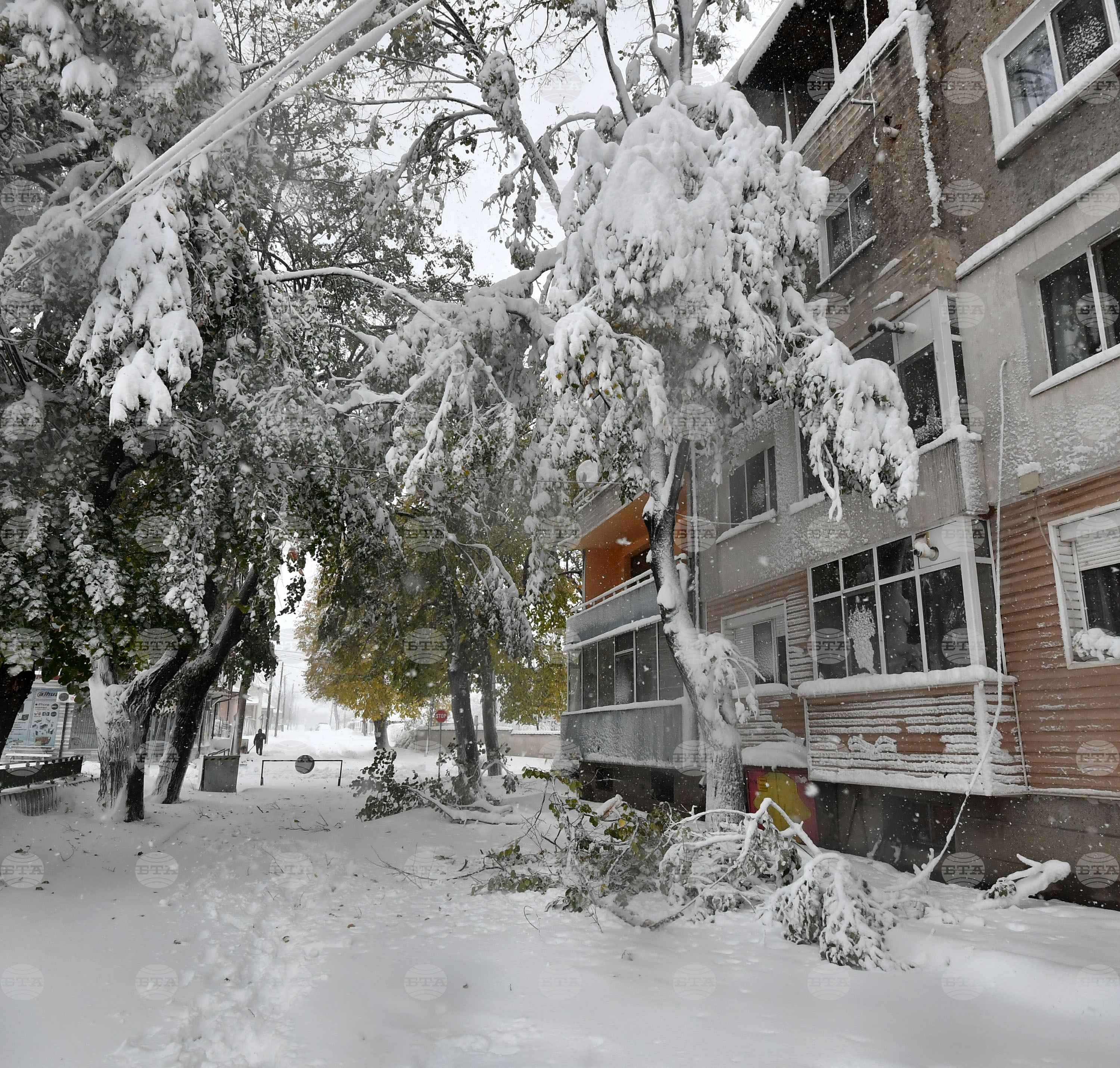 Исперих - зима - обстановка