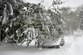 Исперих - зима - обстановка