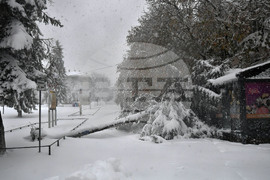 Исперих - зима - обстановка