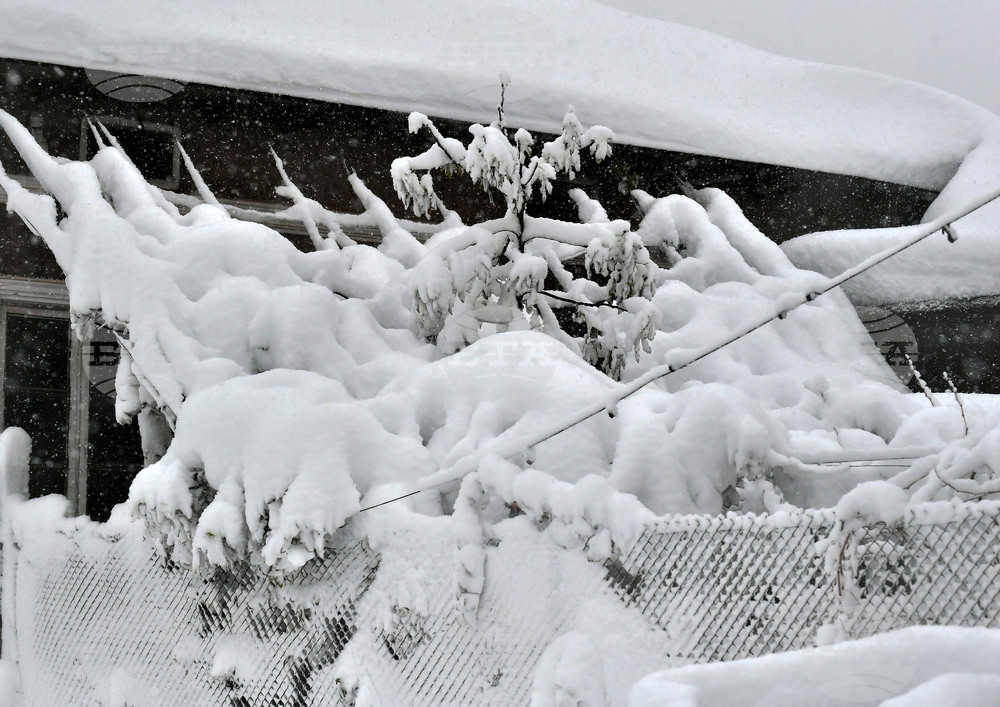 Няколко населени места в община Аксаково са без ток заради скъсан електропровод