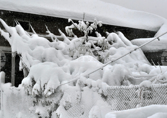Няколко населени места в община Аксаково са без ток заради скъсан електропровод