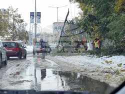 Снимка: Община Плевен