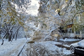 Столица- зимна обстановка