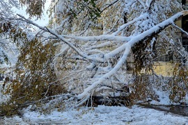 Столица- зимна обстановка